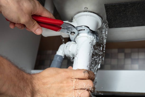 Best Professional water damage repair  in Port Edwards, WI