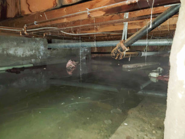 Sewage cleanup and water damage restoration in WI