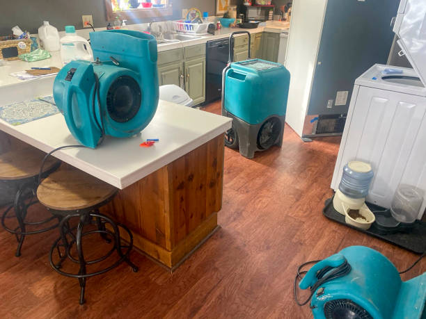 Best Carpet water damage restoration  in Port Edwards, WI