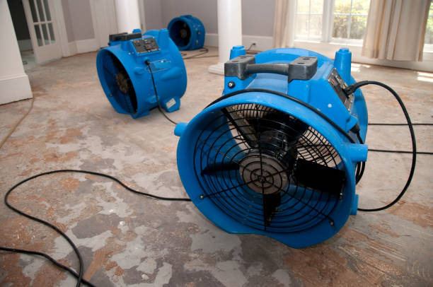Best Water damage cleanup near me  in Port Edwards, WI
