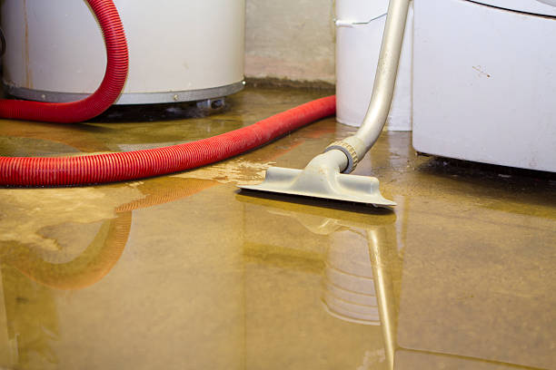 Best Water damage restoration near me  in Port Edwards, WI