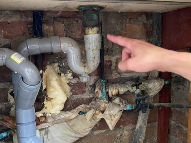 Best Water damage restoration near me  in Port Edwards, WI